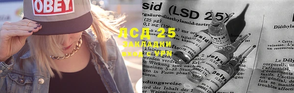 хмурый Мегион